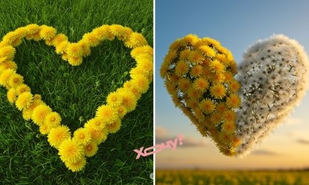 Всемирный день одуванчика: удивительные фото яркого цветка, который еще называют эликсиром жизни