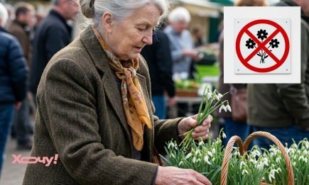 За какие весенние растения можно получить штраф: цветы, которые в Украине запрещено покупать и продавать