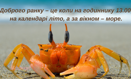 Лето – это возможность получить классный загар по дороге на работу: приколы, шутки и смешные картинки о жаре