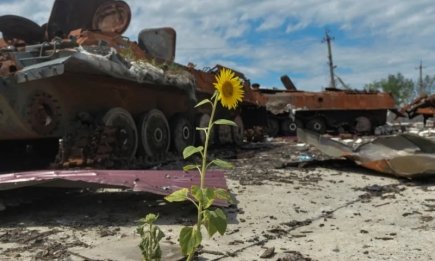 Международный день предотвращения эксплуатации окружающей среды во время войны: дата, история и миссия