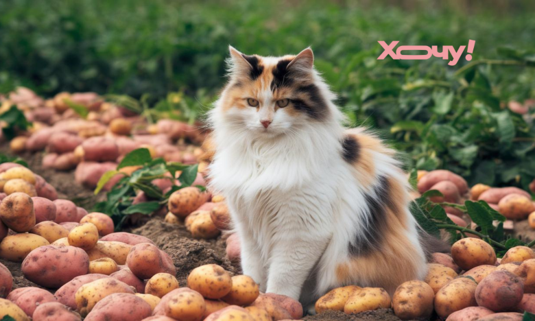 как сажать картошку